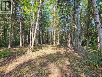 2096 BLACKLOCK Road | Quesnel British Columbia | Slide Image Ten