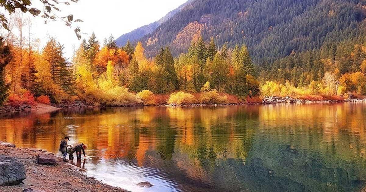 695 HUDSON BAY STREET Image 36