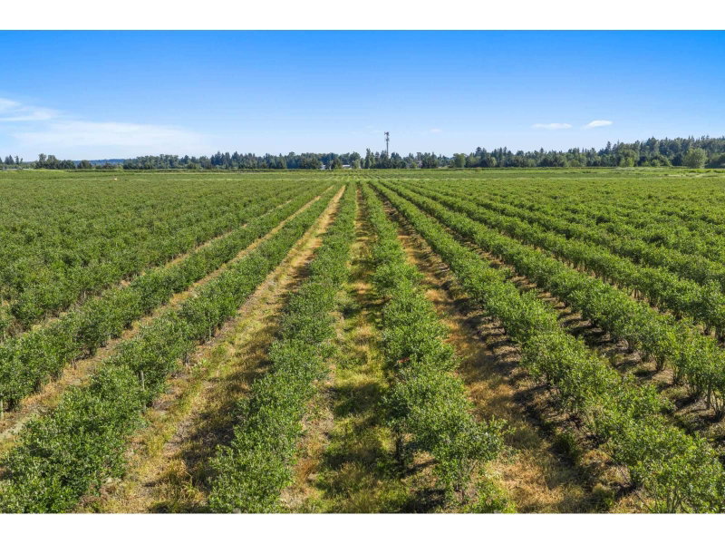 15683 64 Avenue Surrey British Columbia, V3S 2A2 - Vacant Land For Sale