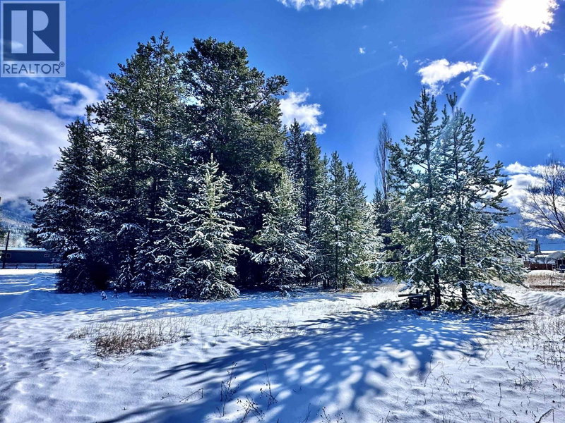 1022 7TH Avenue, Valemount, V0E2Z0 | Image 3