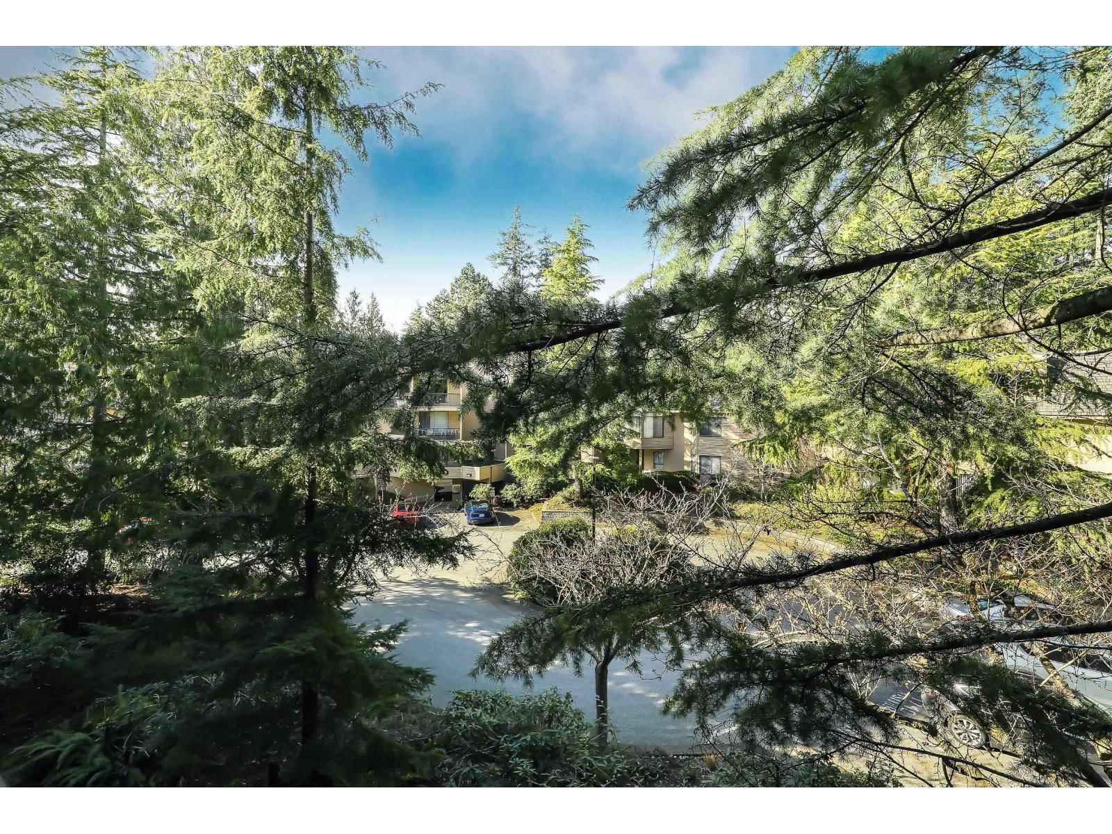 205 - 1740 SOUTHMERE CRESCENT Image 24