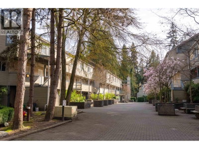 2978 WALTON Avenue | Coquitlam British Columbia | Slide Image Thirteen