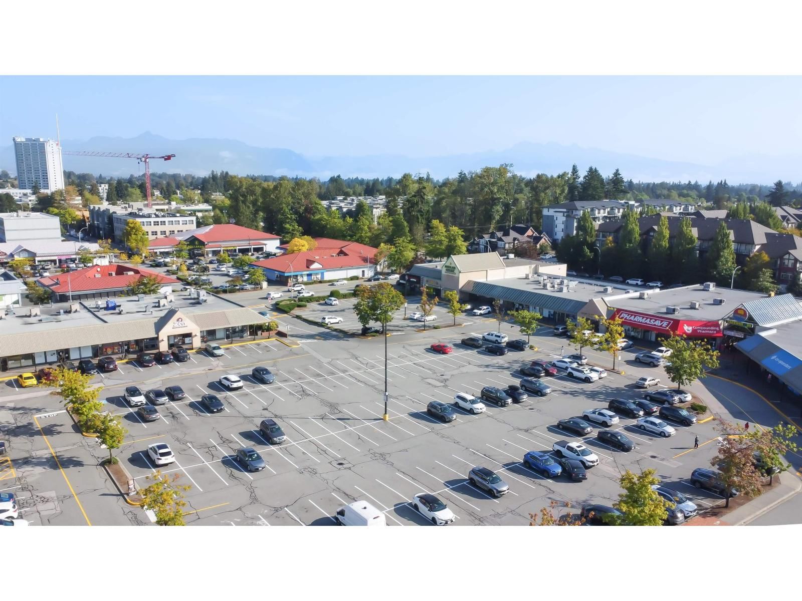 47 - 15353 100 AVENUE Image 36