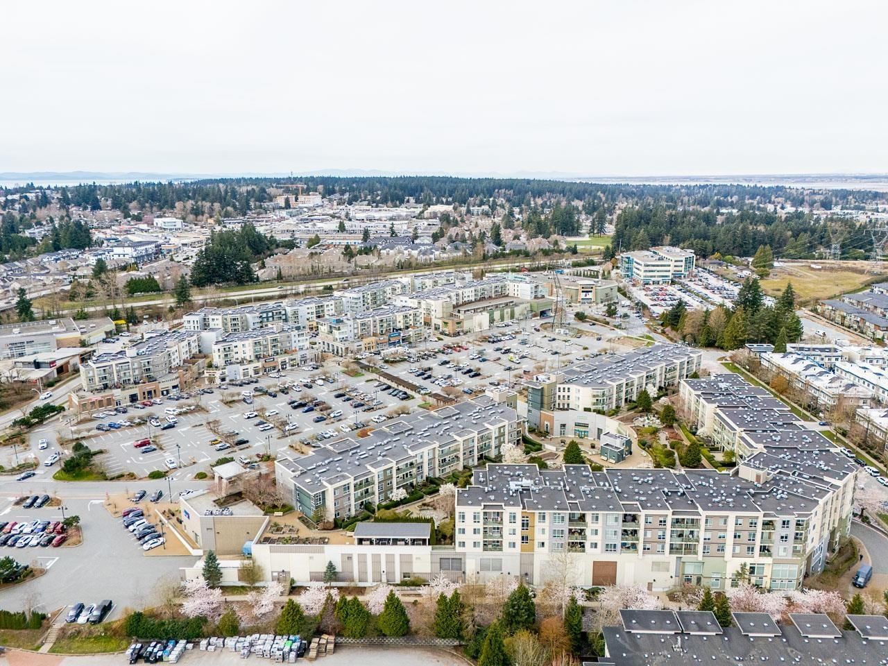 218 - 15735 CROYDON DRIVE Image 31