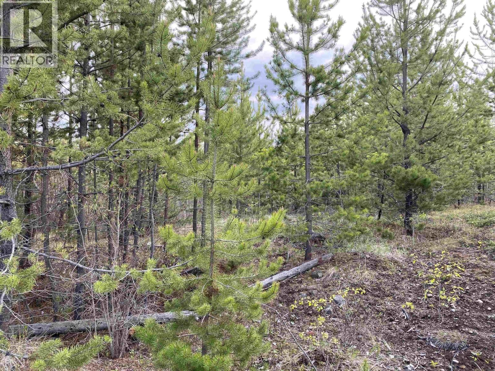 BLK C 94 MILE FRONTAGE ROAD Image 7