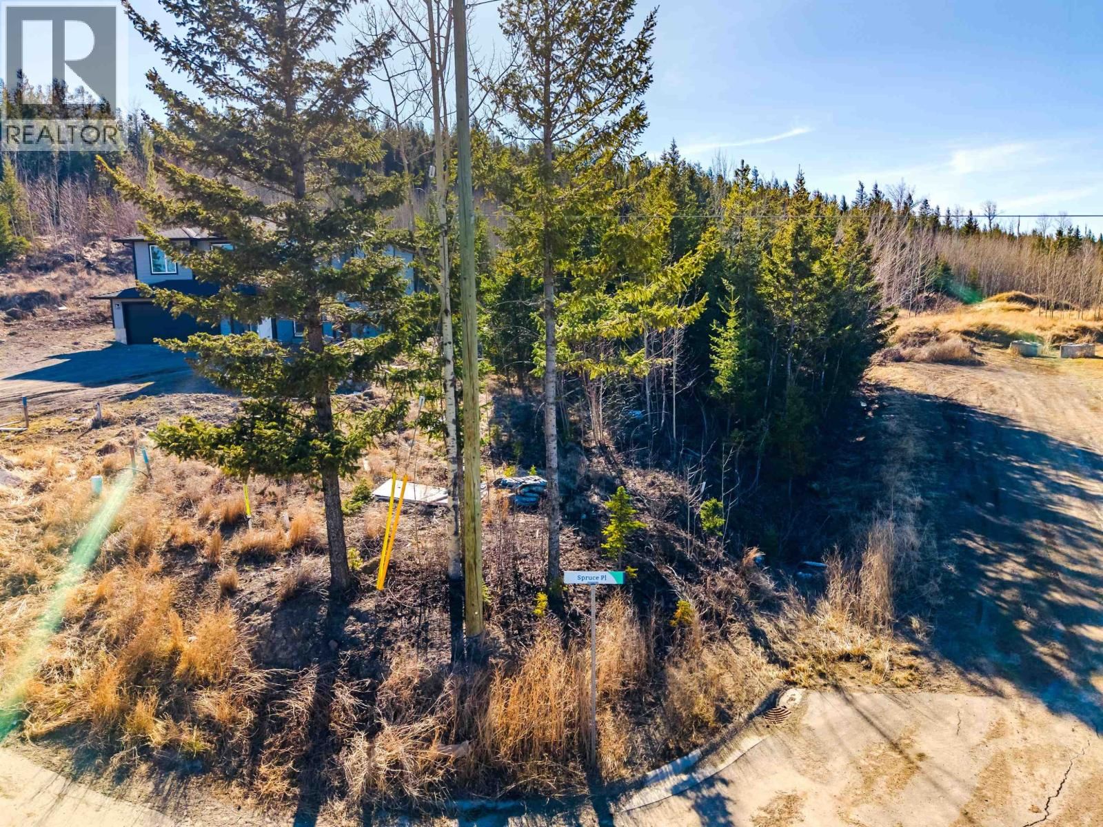 901 SPRUCE PLACE Image 2