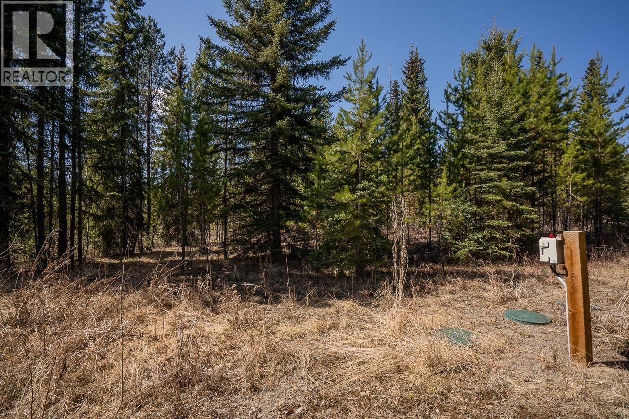 6301 ARCHIE MEADOW ROAD Image 13
