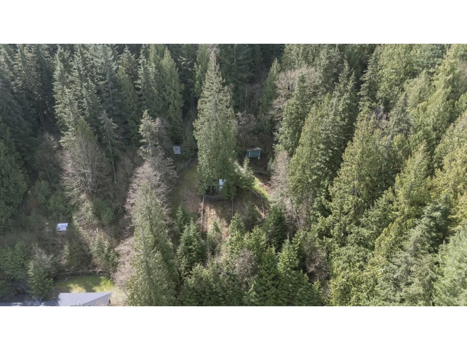 29310 DEWDNEY TRUNK ROAD Image 35