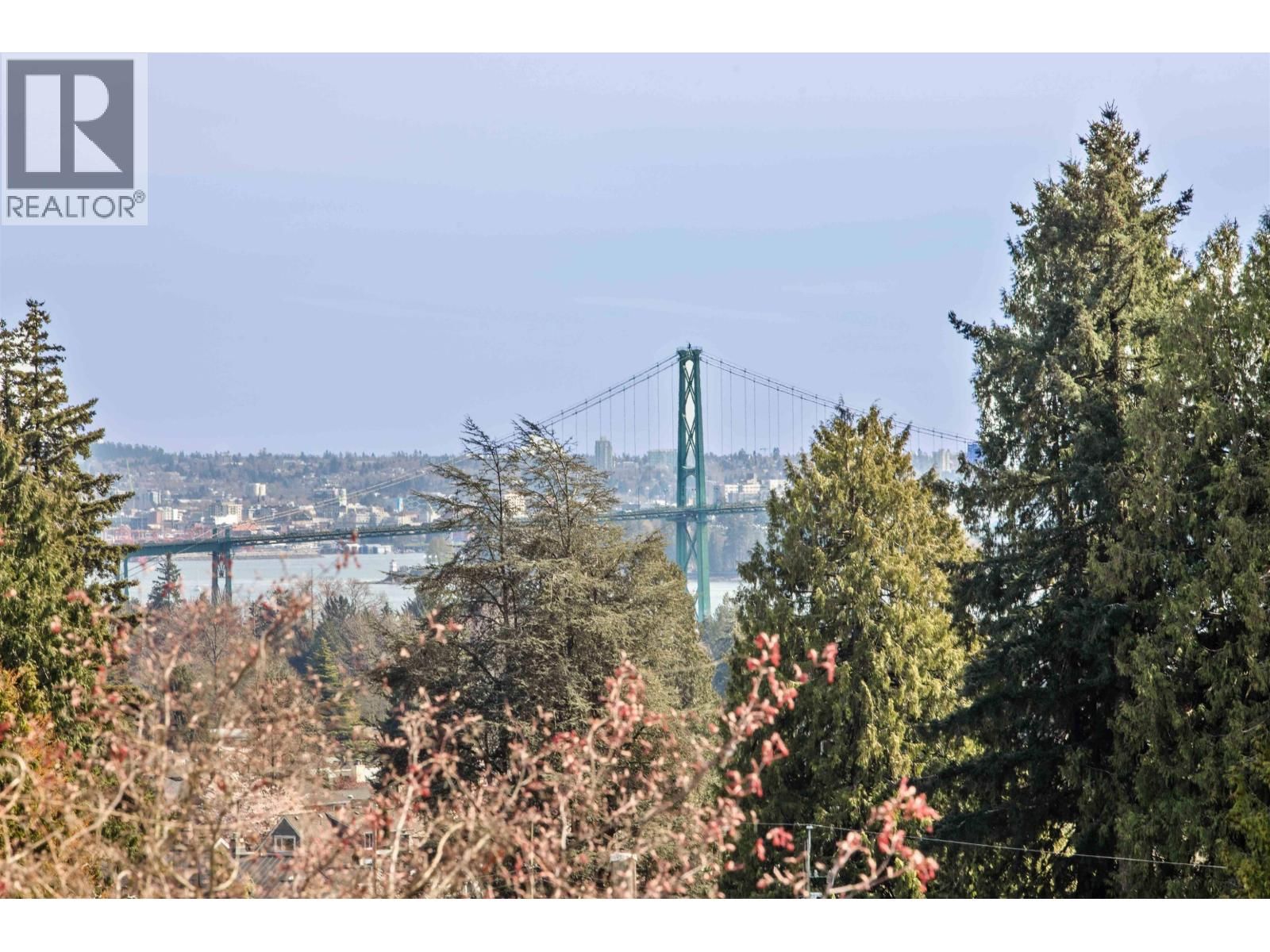 1468 KINGS AVENUE Image 35