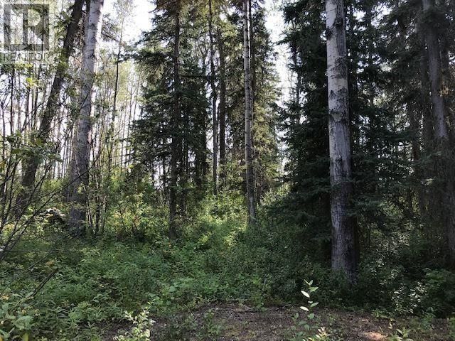 JARDINE ROAD Image 4