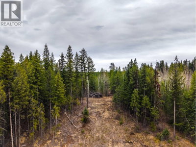 LOT 2 PARKVIEW Road | Quesnel British Columbia | Slide Image Fifteen