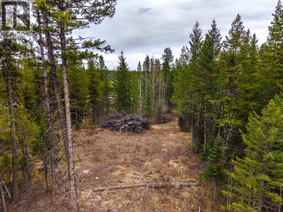 LOT 2 PARKVIEW Road | Quesnel British Columbia | Slide Image Seventeen