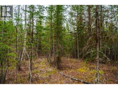 LOT 2 PARKVIEW Road | Quesnel British Columbia | Slide Image Thirty-one