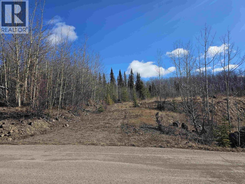 970 NASH Road, Burns Lake, V0J1E0 | Image 2