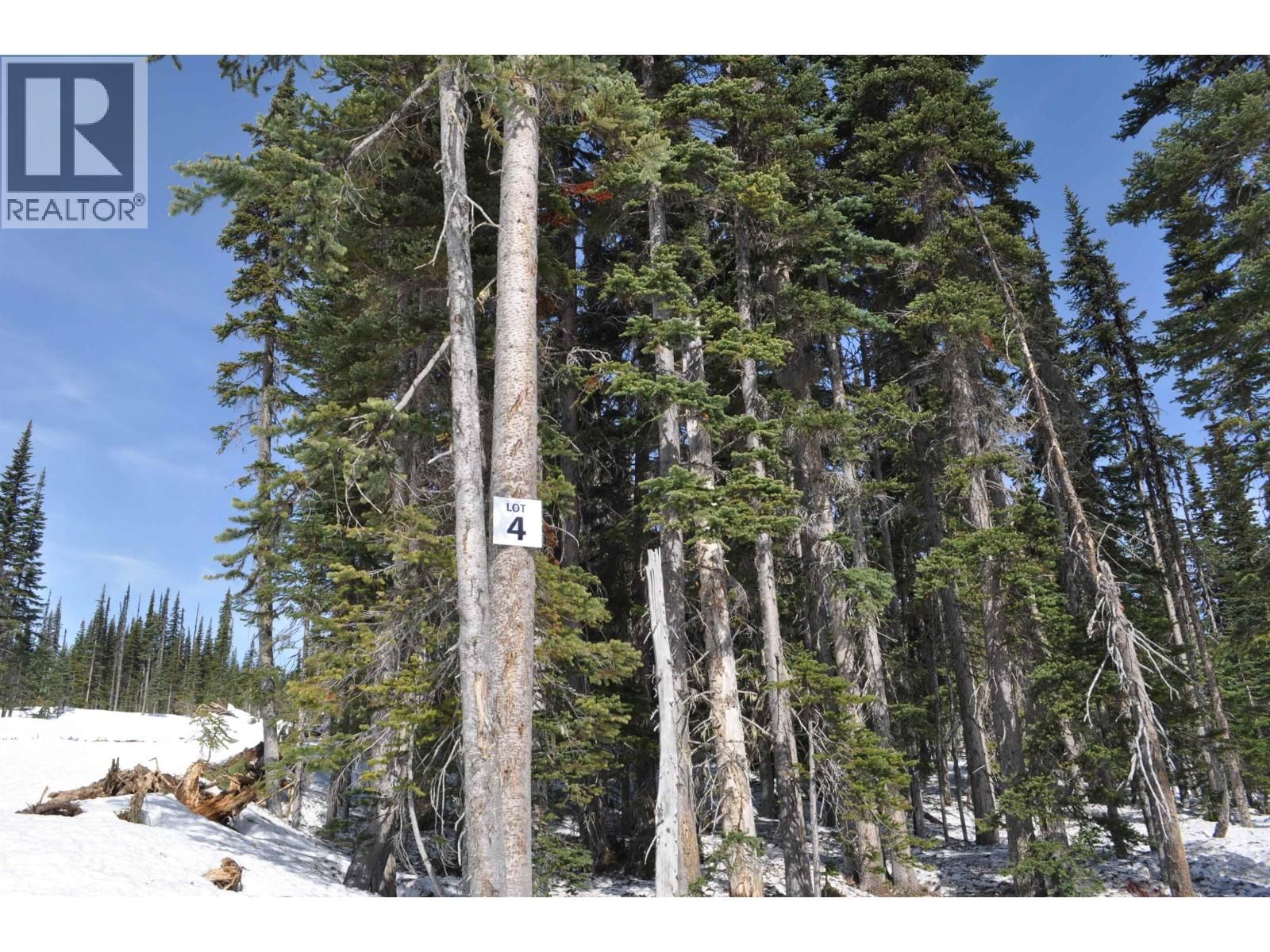 ST 4 ALPINE Way, Smithers, British Columbia V0J 2N0