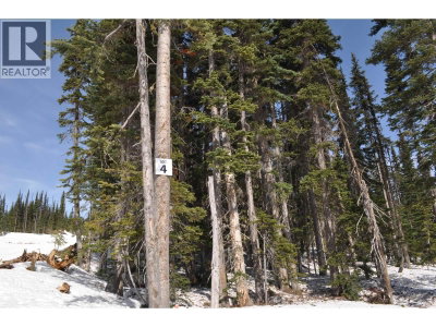 ST 4 ALPINE Way | Smithers British Columbia | Slide Image Two