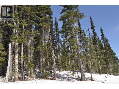 ST 4 ALPINE Way | Smithers British Columbia | Slide Image Three
