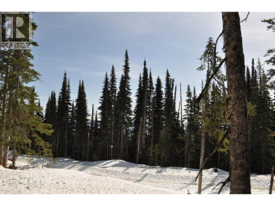 ST 4 ALPINE Way | Smithers British Columbia | Slide Image Four