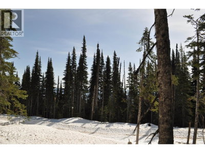 ST 4 ALPINE Way | Smithers British Columbia | Slide Image Five