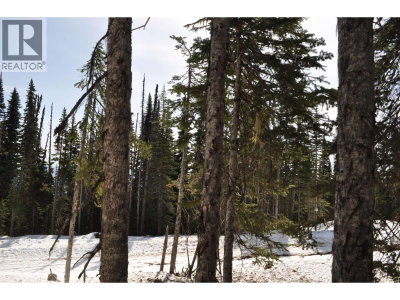 ST 4 ALPINE Way | Smithers British Columbia | Slide Image Six