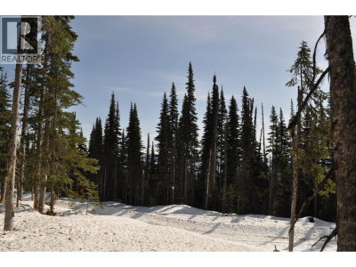 ST 4 ALPINE Way | Smithers British Columbia | Slide Image Seven