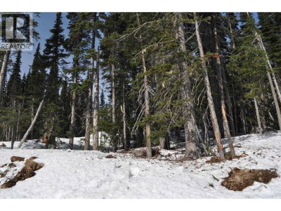 ST 4 ALPINE Way | Smithers British Columbia | Slide Image Nine