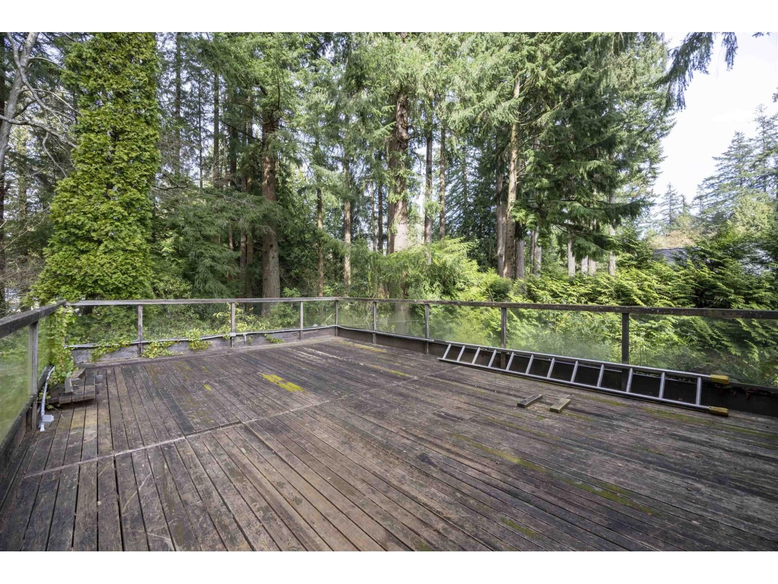 13642 28 AVENUE Image 25