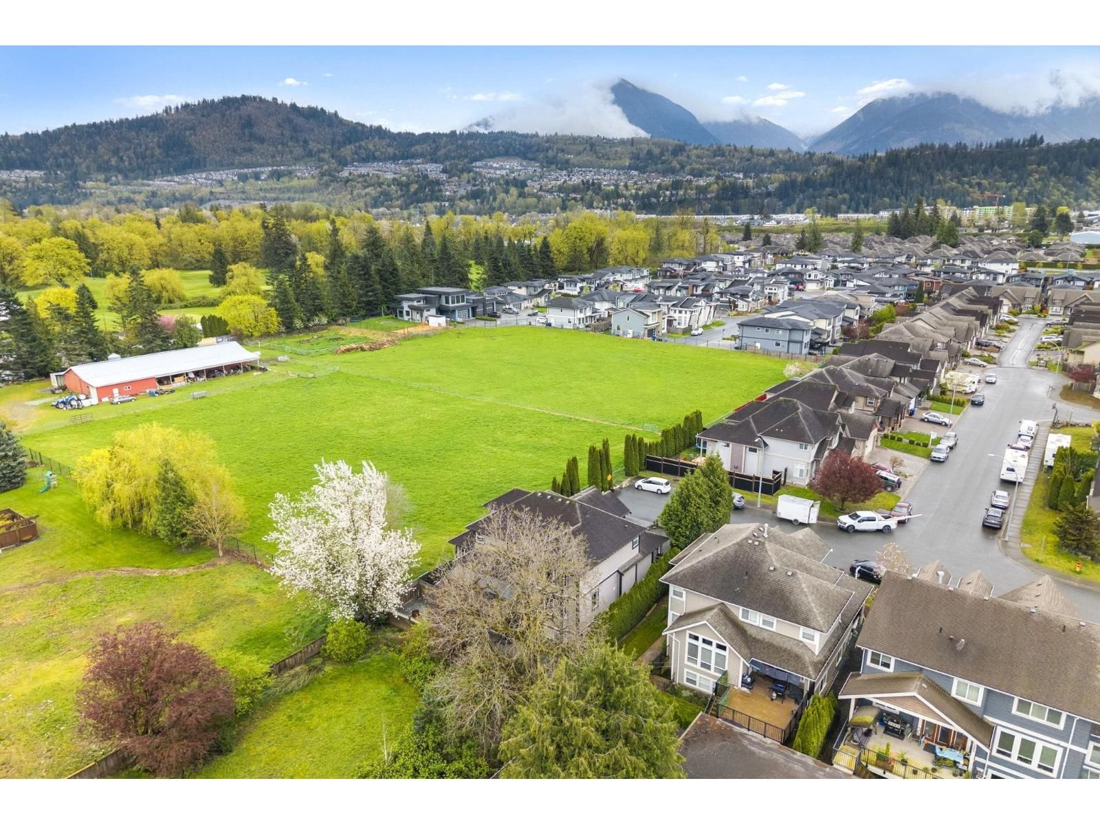 45921 VERBENA DRIVE Image 37