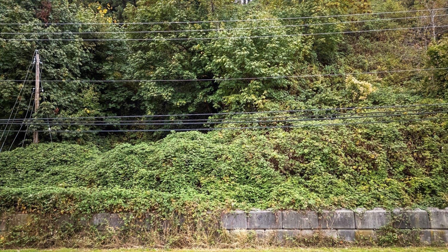 47165 YALE ROAD Image 16