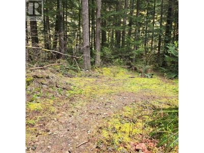 4040 MIDNIGHT Way | Squamish British Columbia | Slide Image Thirty-three
