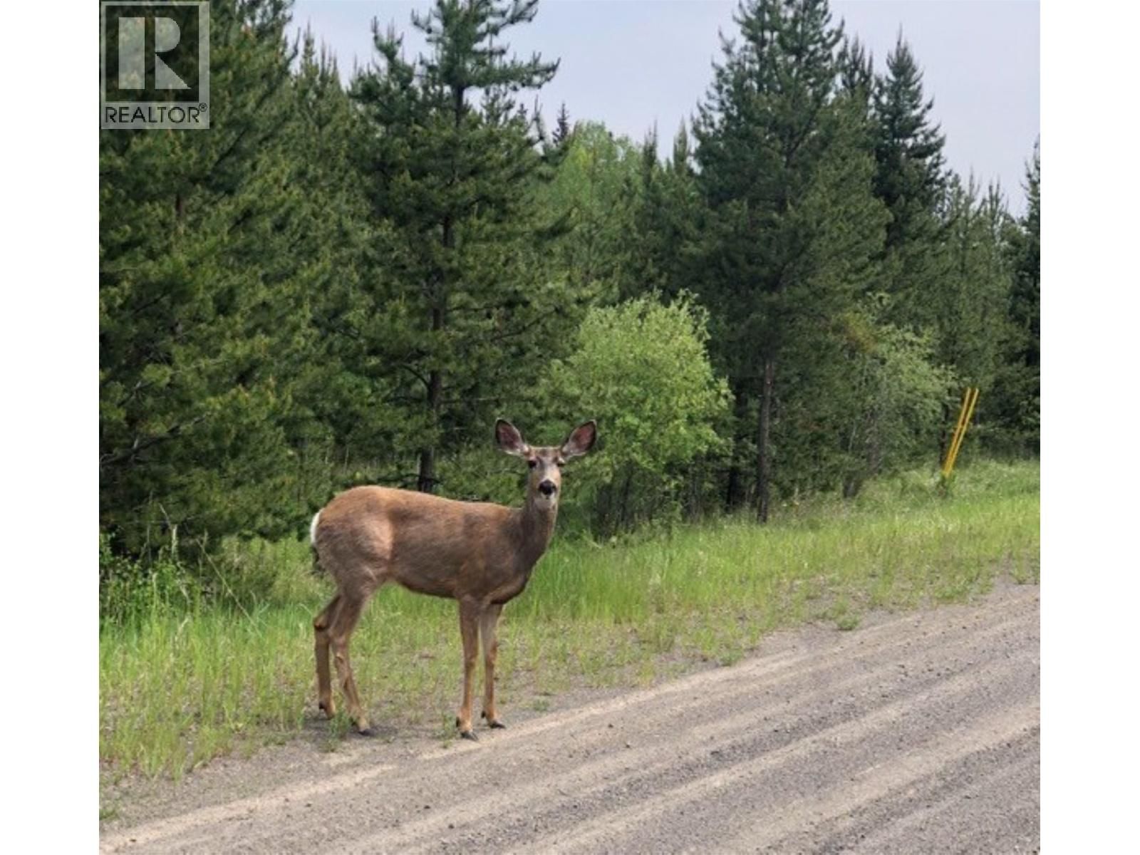 LOT 1 - 5916 LITTLE FORT 24 HIGHWAY Image 1