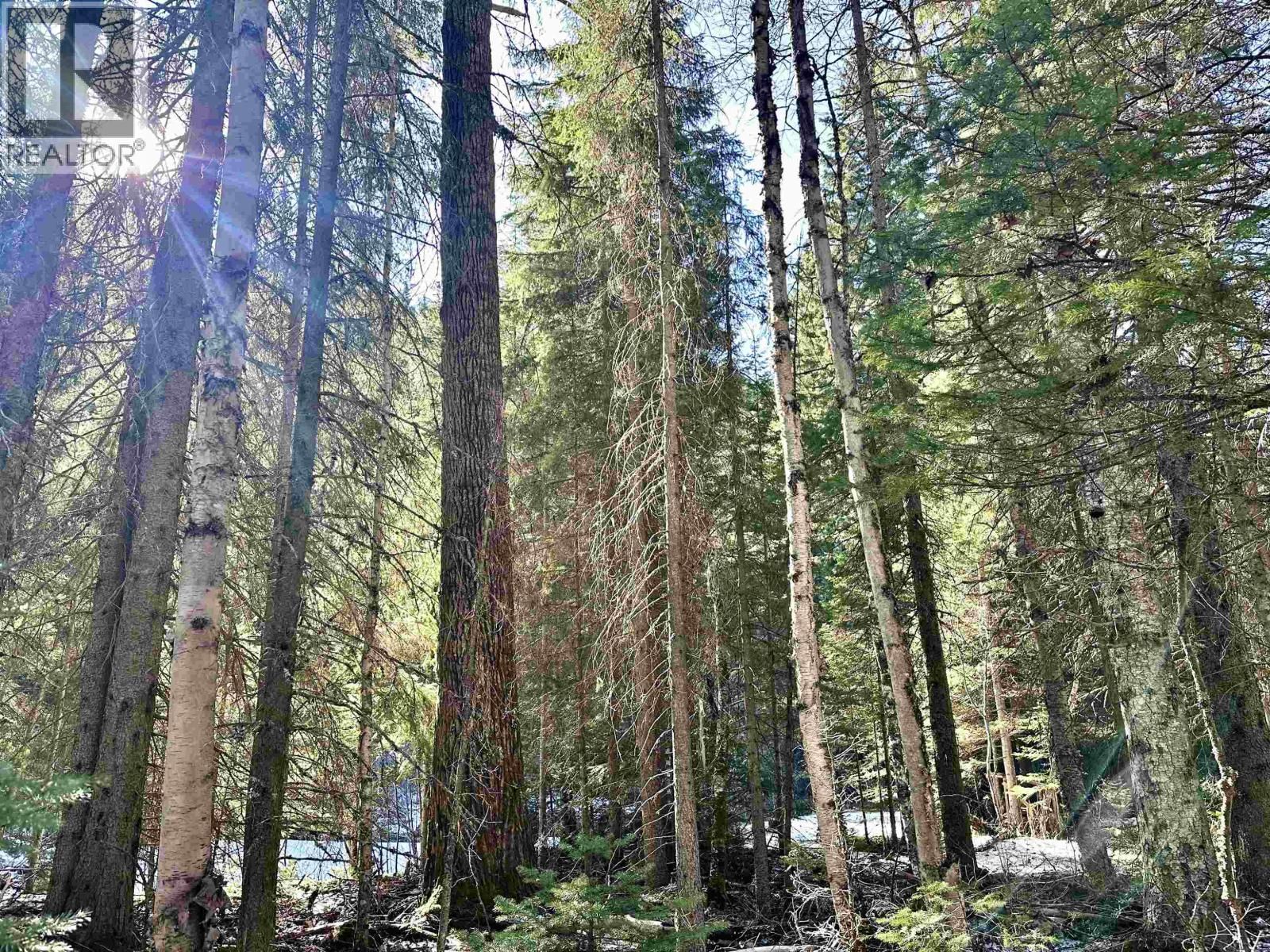 18405 5 HIGHWAY Image 4