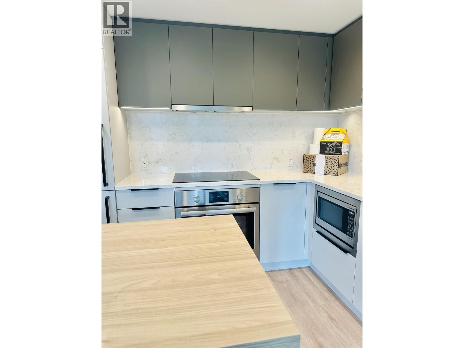 302 - 567 EMERSON STREET Image 7