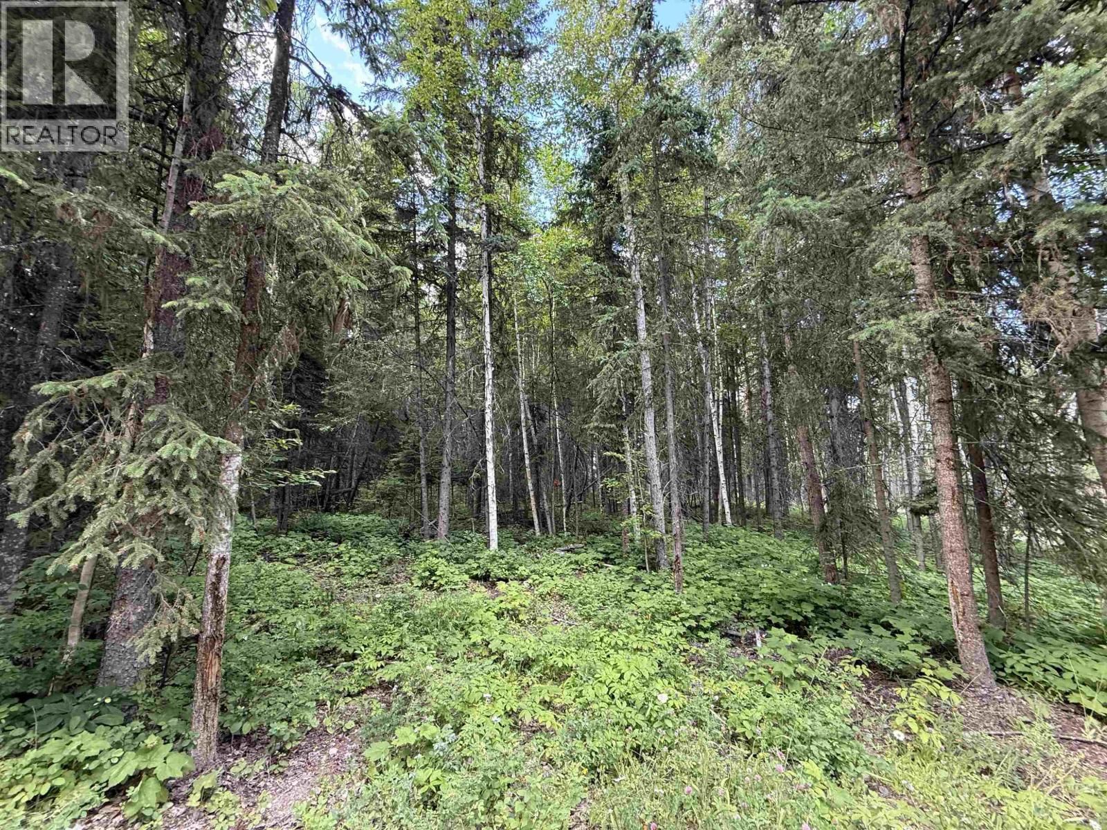 LOT 1 BOOTH ROAD Image 8