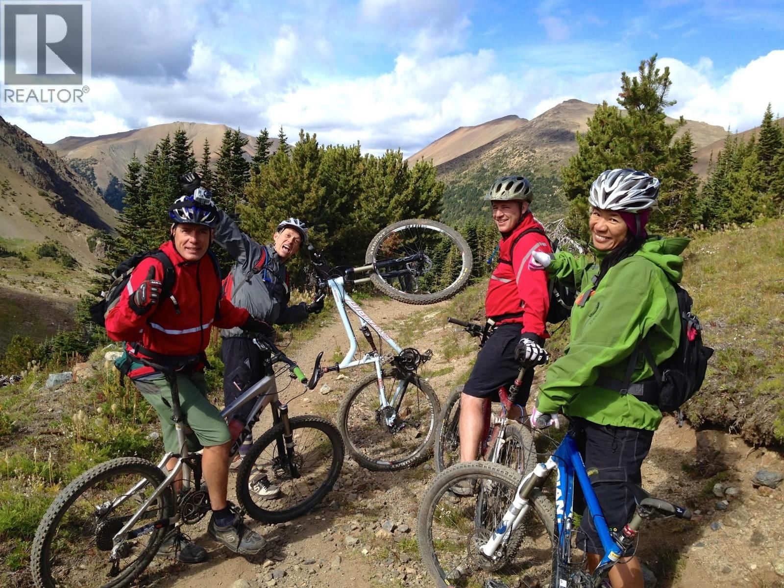 14088 GUN LAKE WEST ROAD Image 3