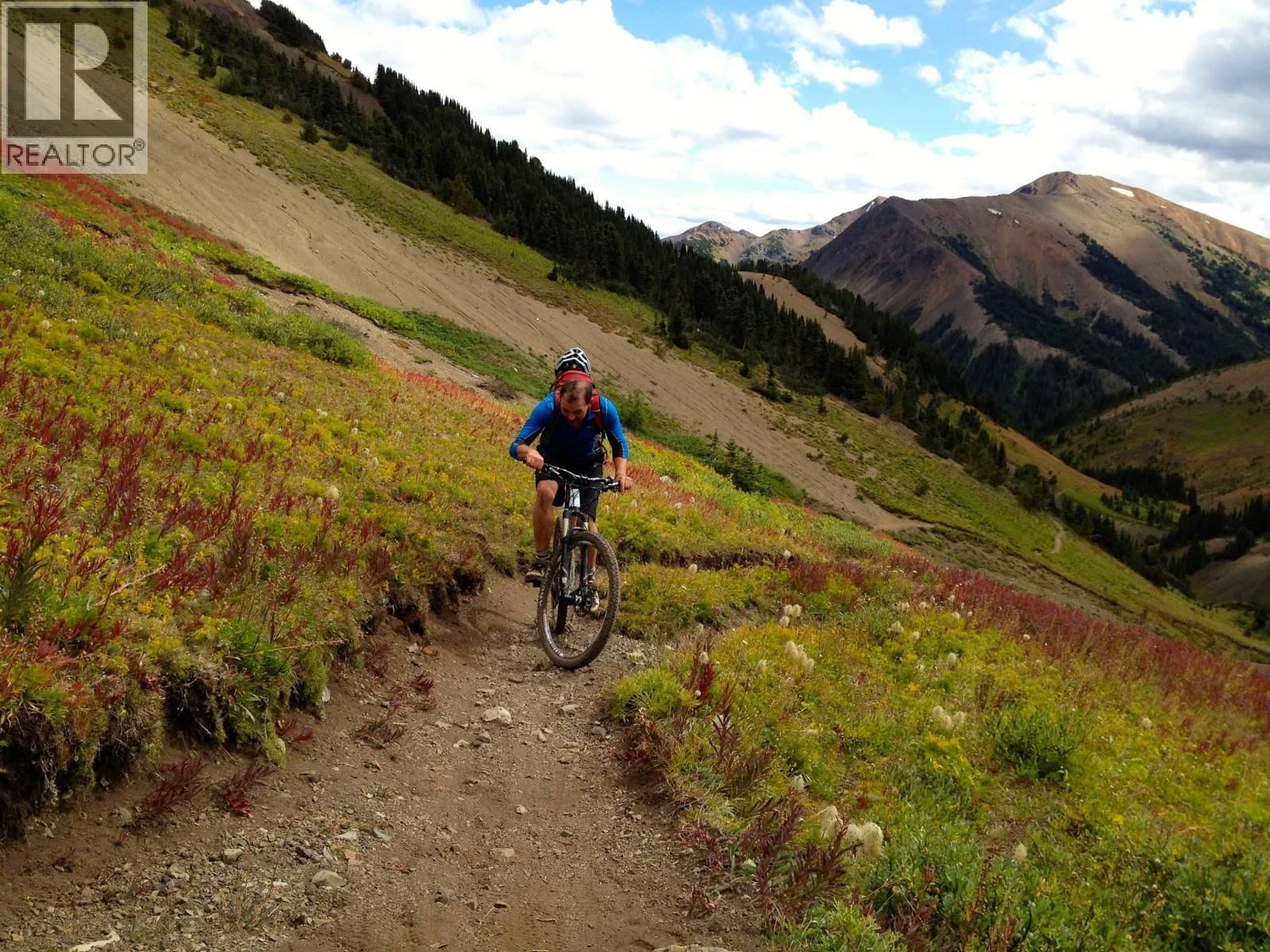 14088 GUN LAKE WEST ROAD Image 4