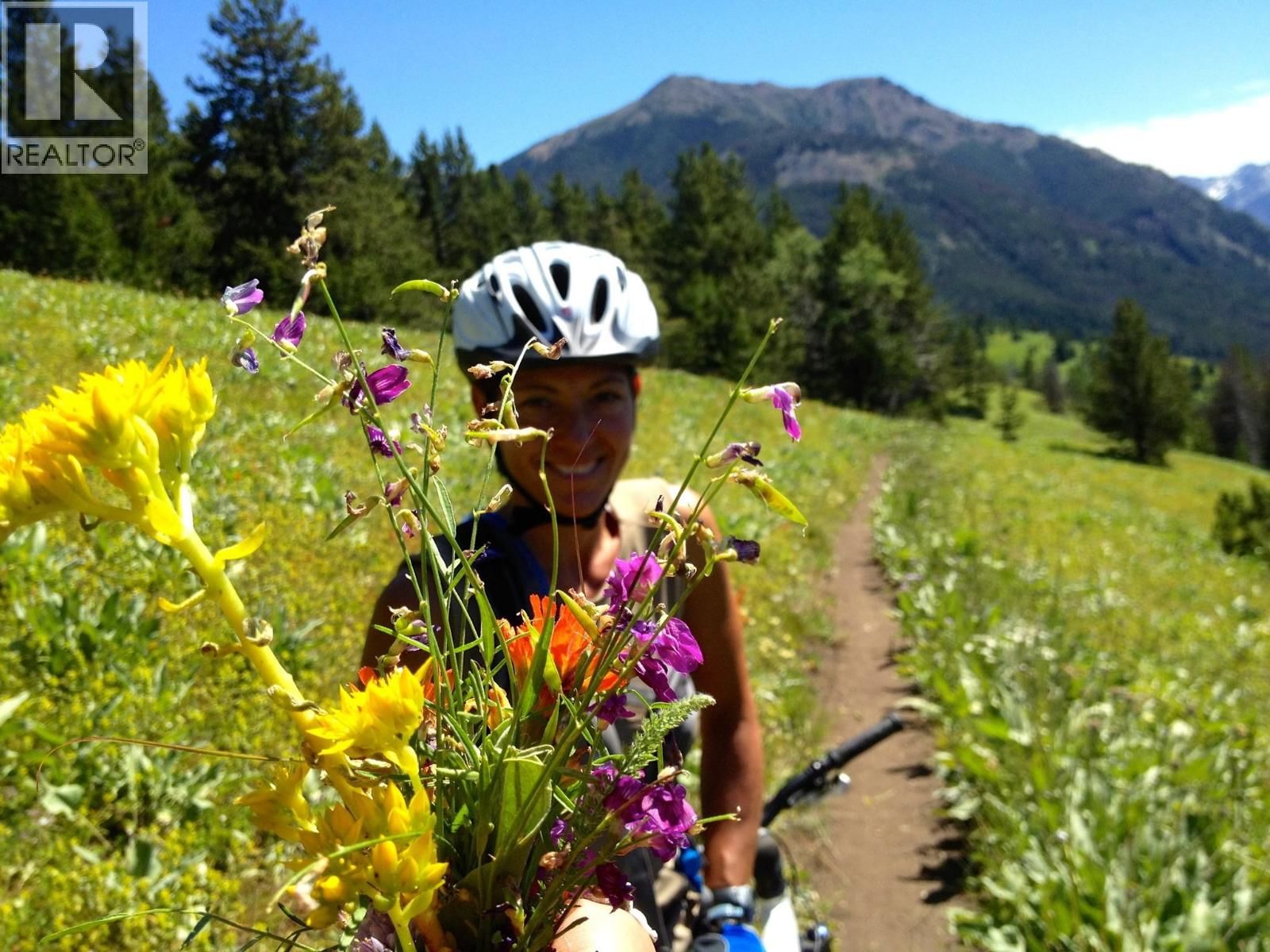 14088 GUN LAKE WEST ROAD Image 5