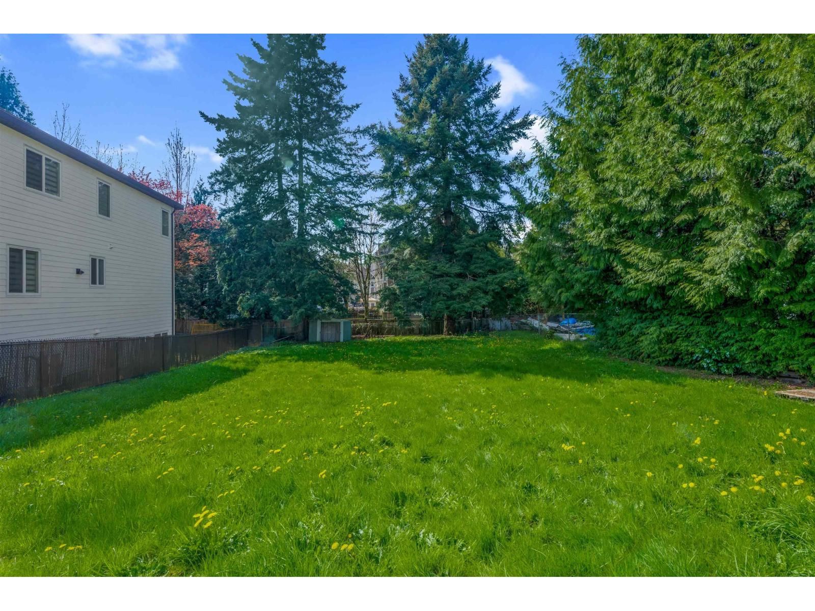 2803 BABICH STREET Image 32