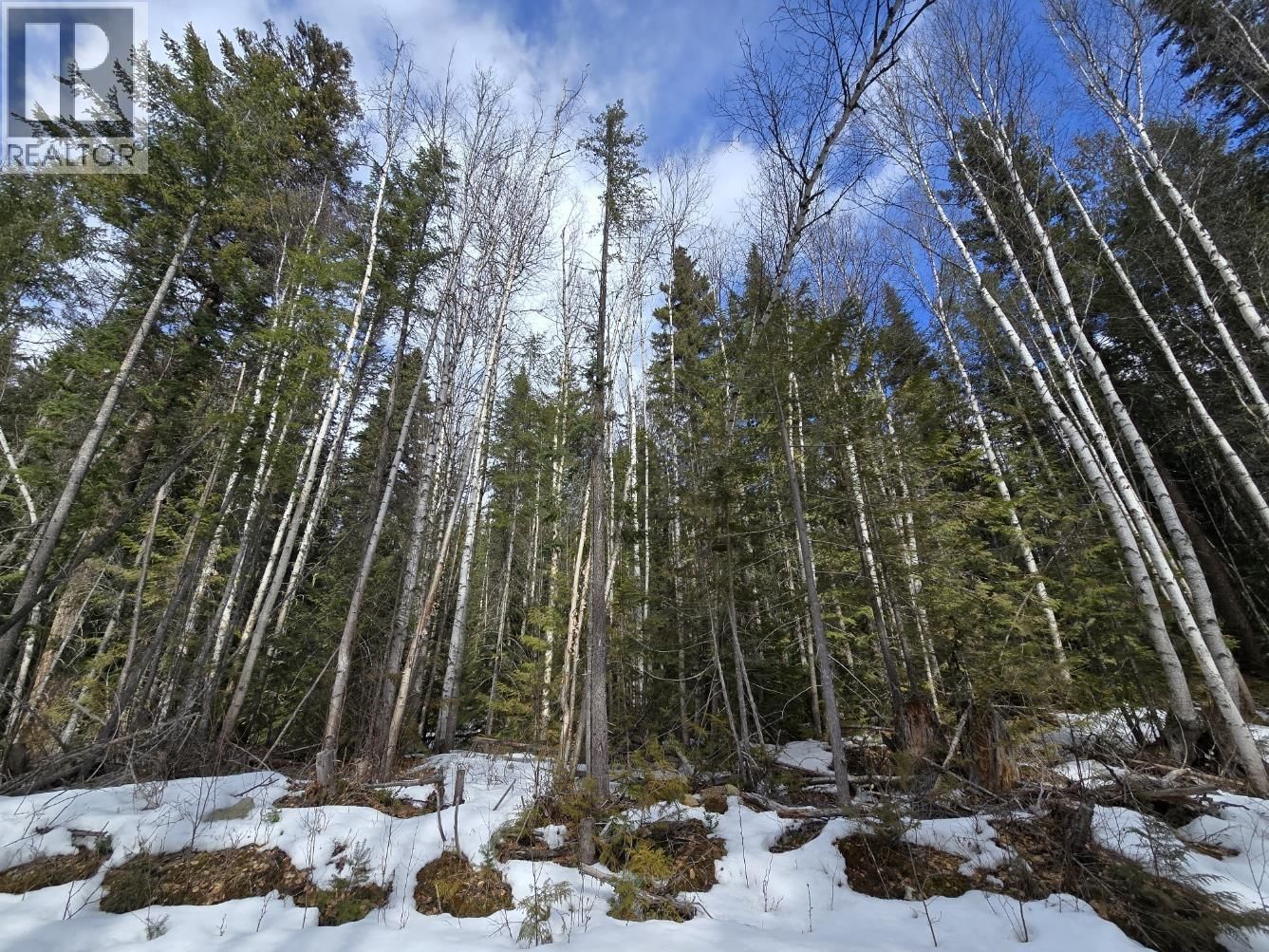 DL11492 QUESNEL LAKE Image 1