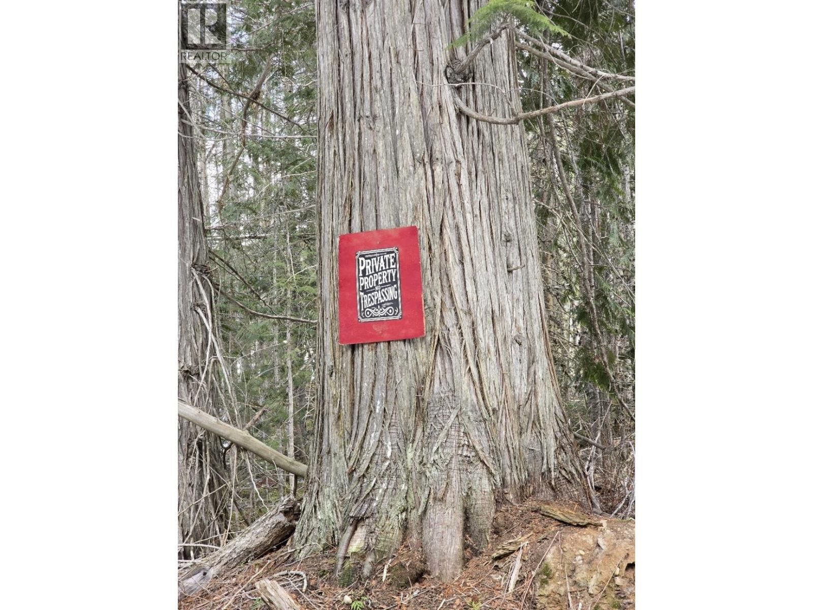 DL11492 QUESNEL LAKE Image 10