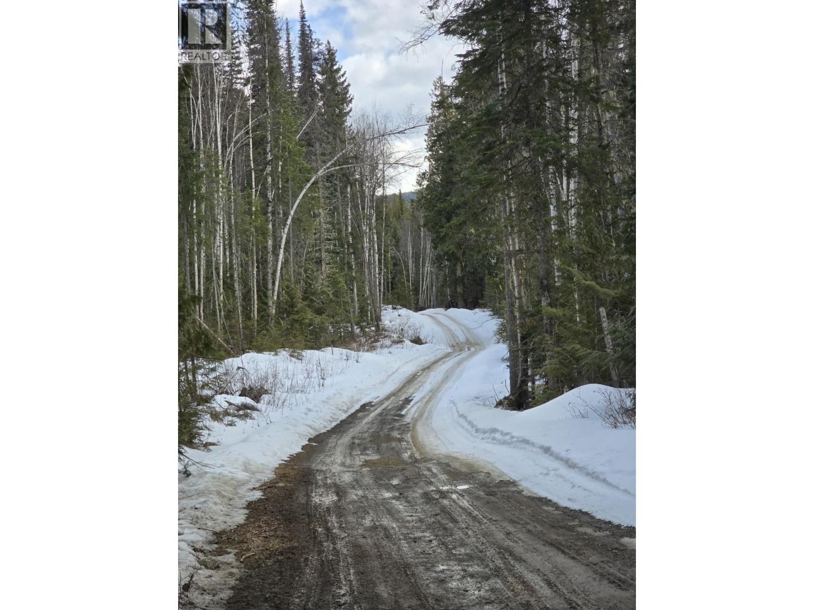 DL11492 QUESNEL LAKE Image 11