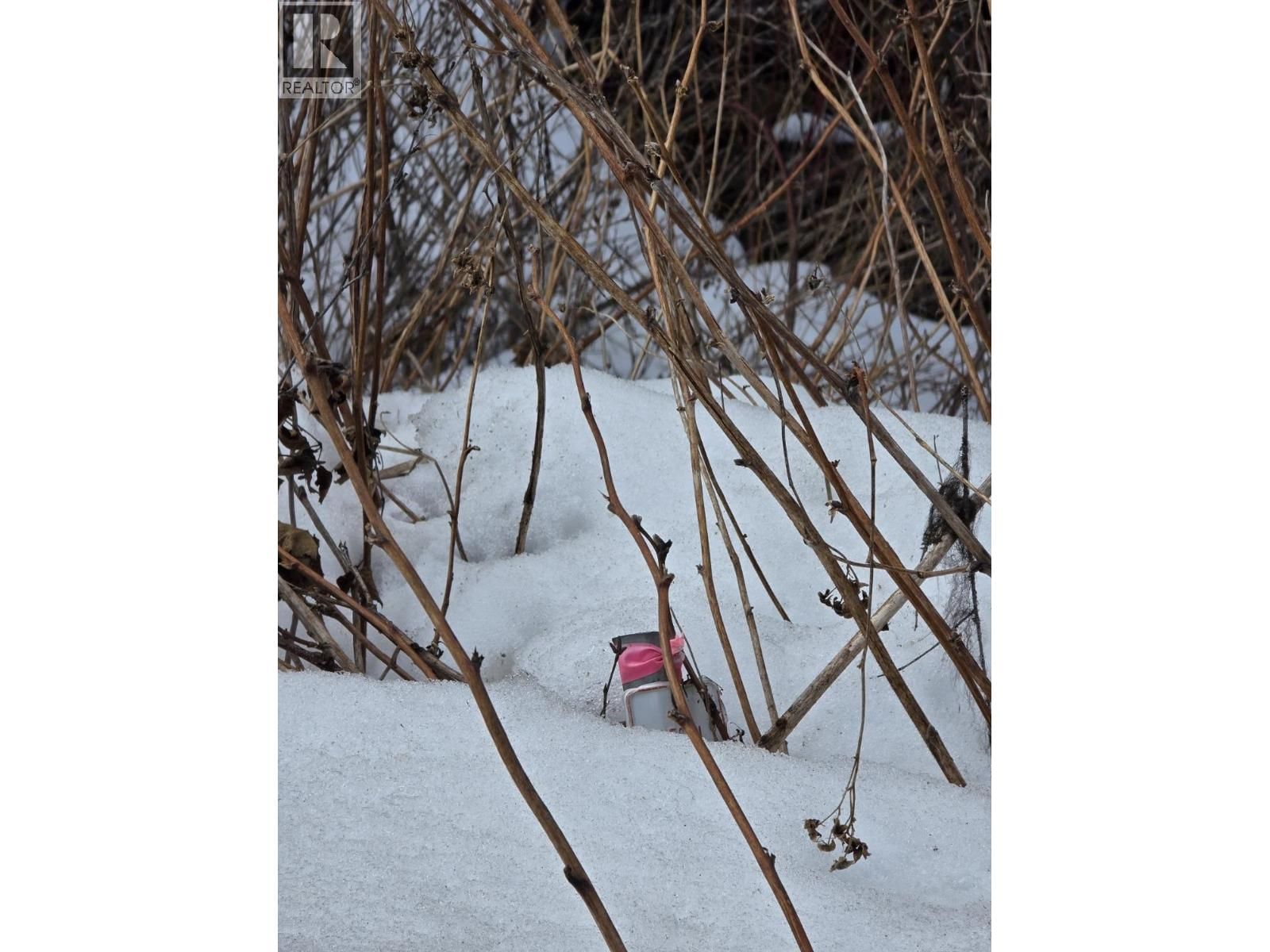 DL11492 QUESNEL LAKE Image 13