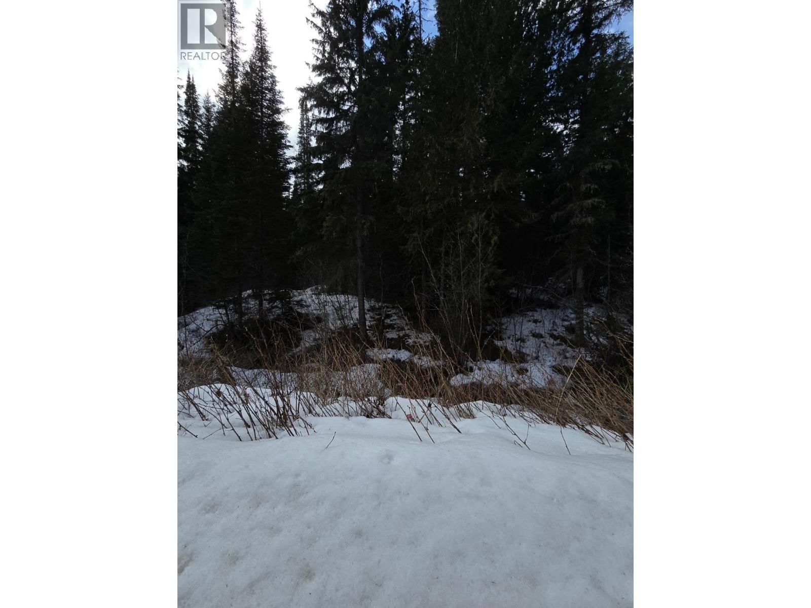 DL11492 QUESNEL LAKE Image 14