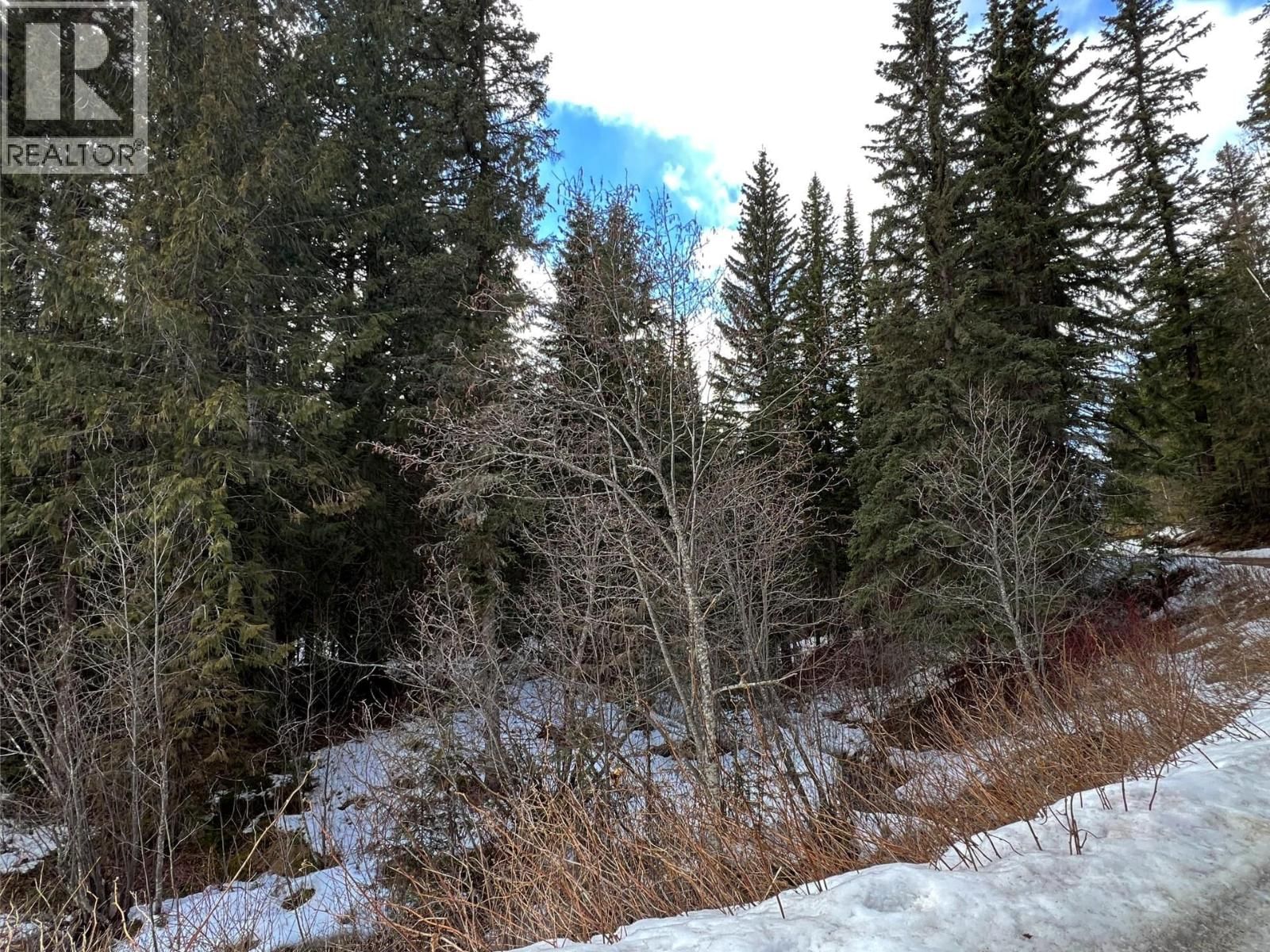 DL11492 QUESNEL LAKE Image 15