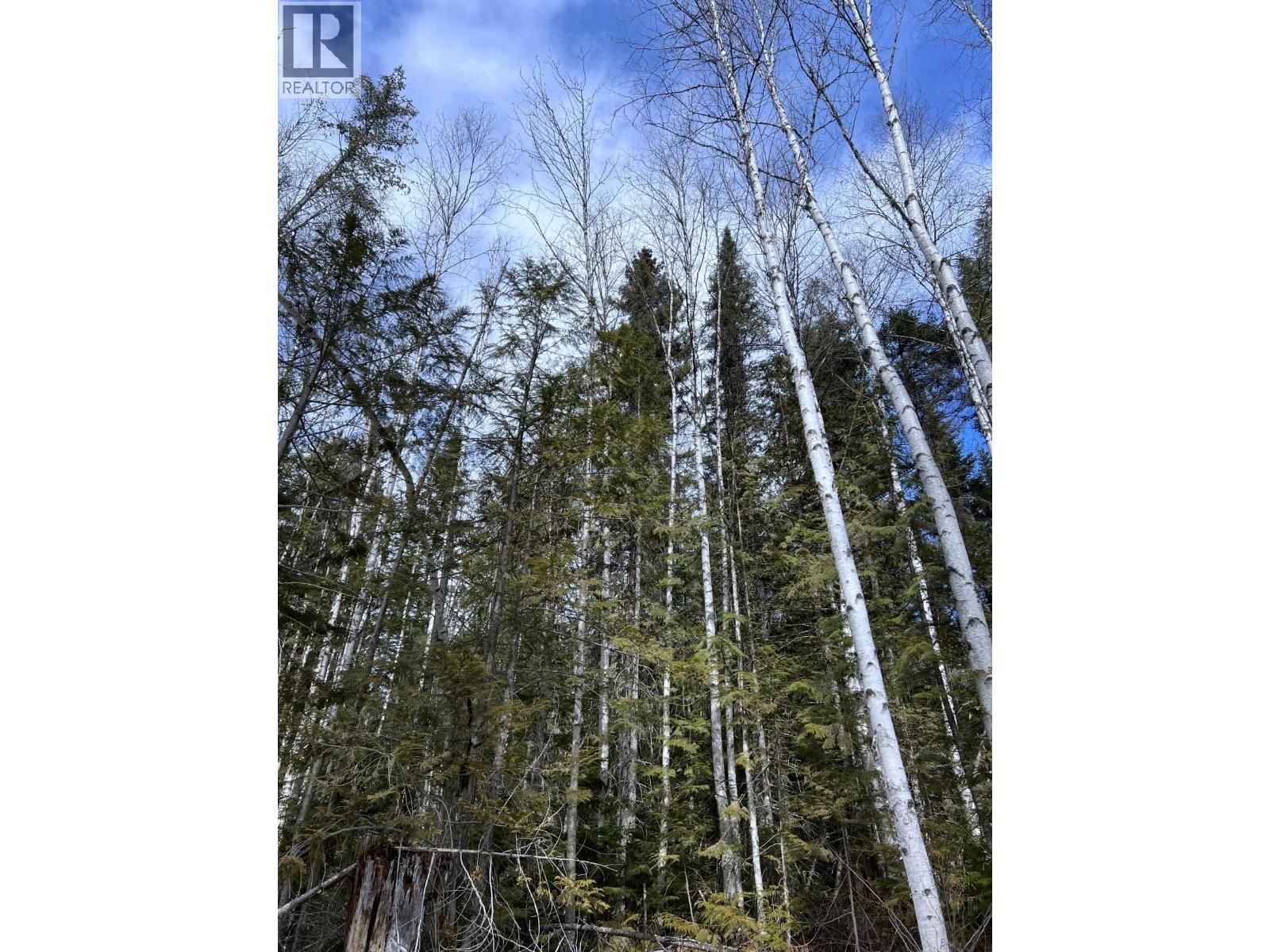 DL11492 QUESNEL LAKE Image 16