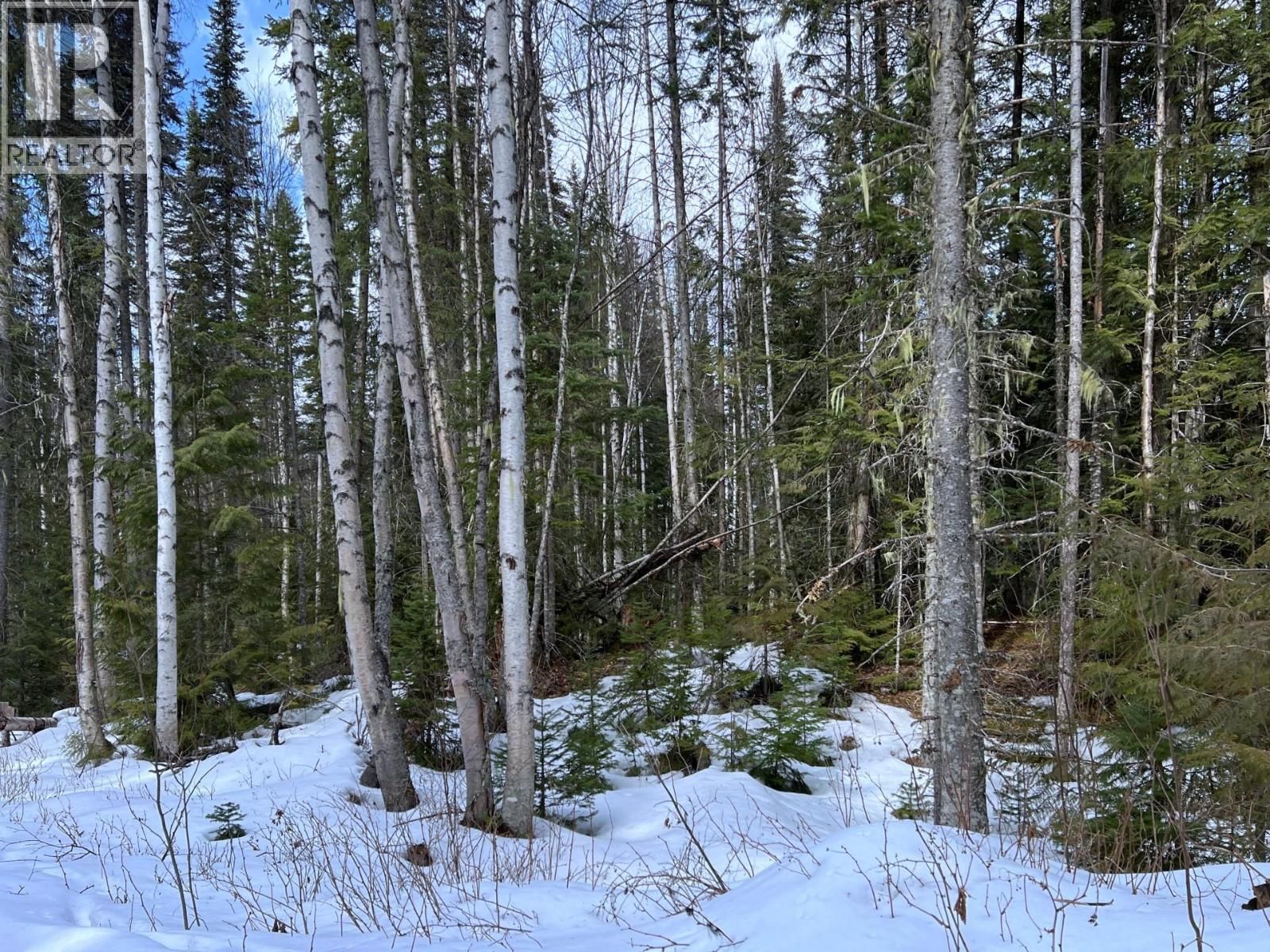 DL11492 QUESNEL LAKE Image 17