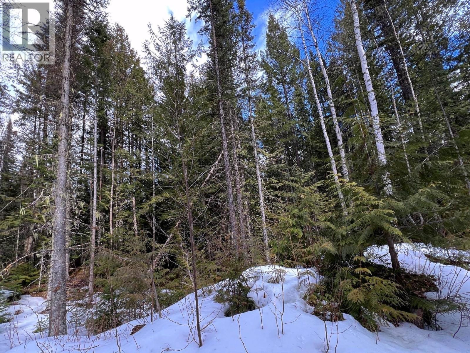 DL11492 QUESNEL LAKE Image 18