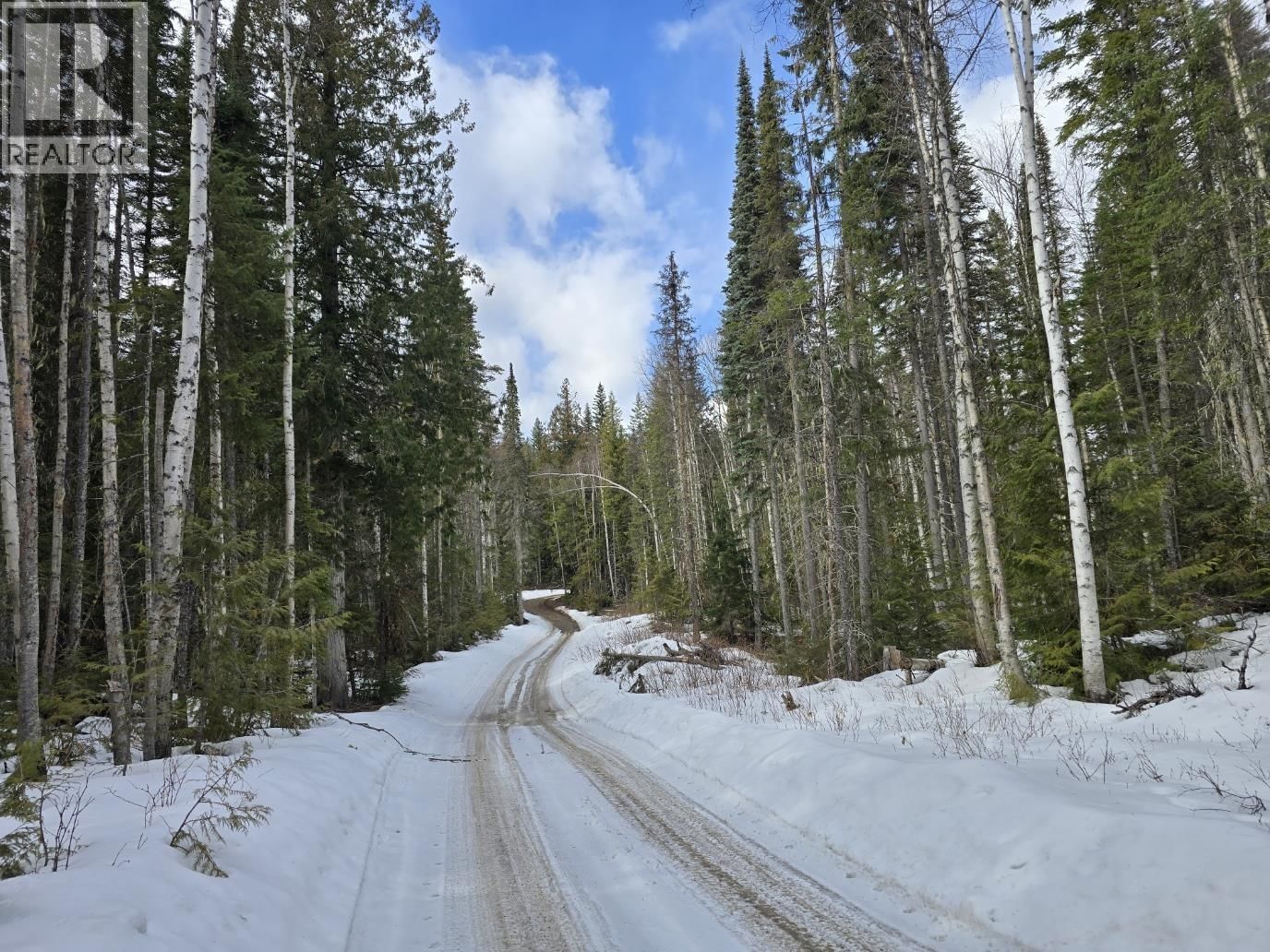 DL11492 QUESNEL LAKE Image 4