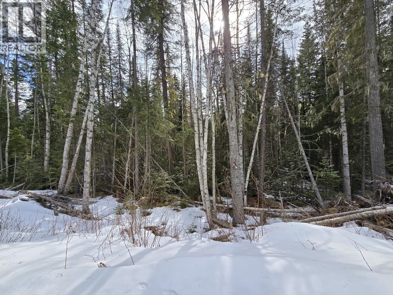 DL11492 QUESNEL LAKE Image 5