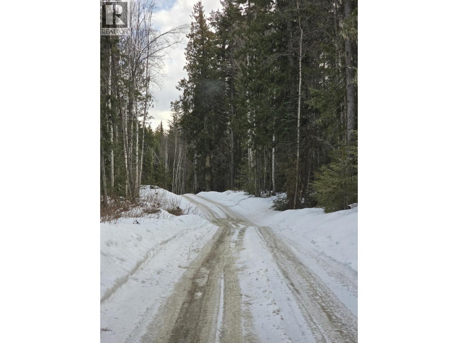 DL11492 QUESNEL LAKE Image 6